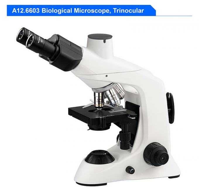 Zusammengesetztes optisches Multifunktionsmikroskop biologisches