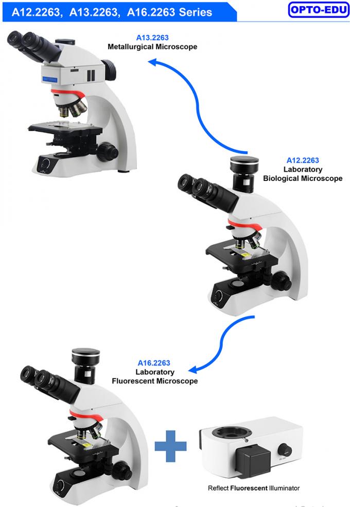 OPTO-EDU A12.2263 Infinity Trinocular Biologische Labormikroskop 2