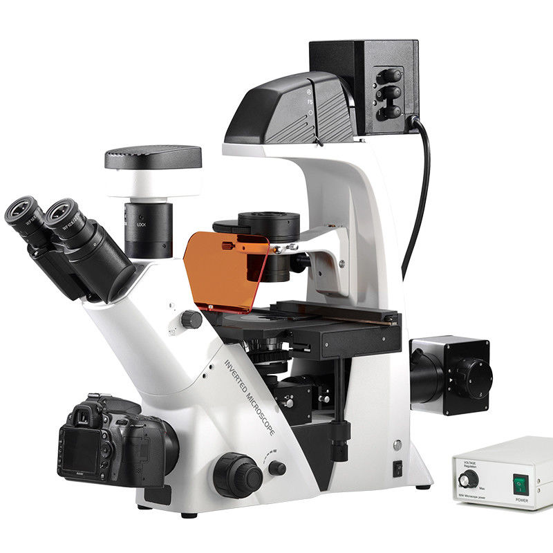 Trinocular Inverted Biological Microscope WF10X PlA14.2605 Kohler Illumination