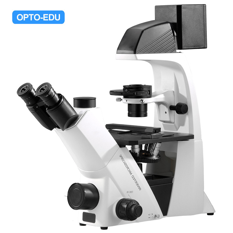 OPTO-EDU A14.2605 Inverted Biological Phase Contrast Microscope, Transmit Light, ECO