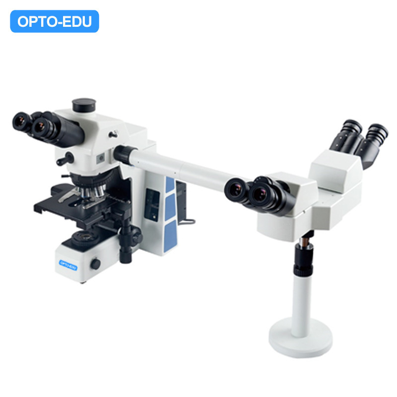 Inclined 22mm Multi Viewing Microscope Opto-Edu A17.0950-3